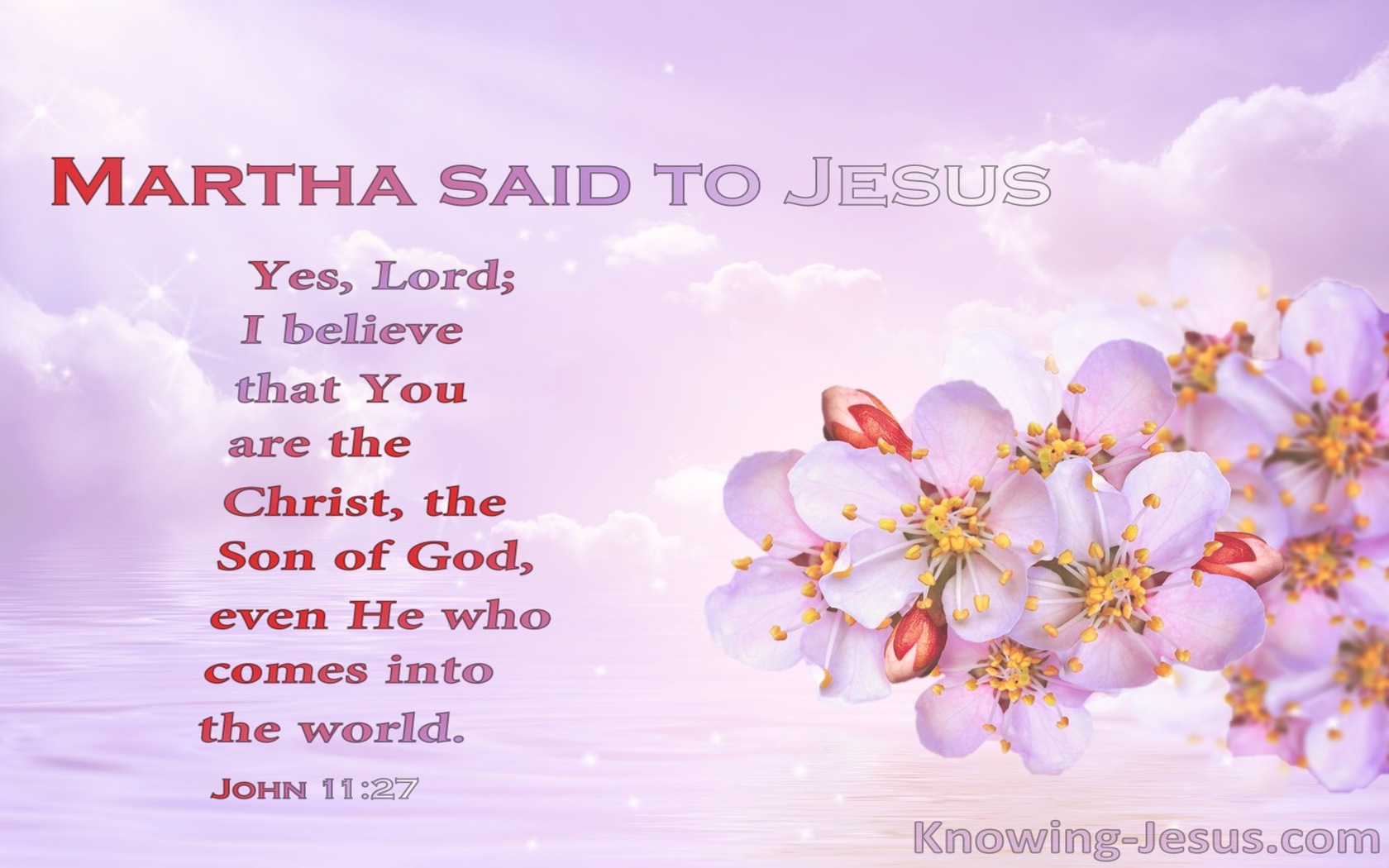 John 11:27 You Are Christ The Son Of God (pink)